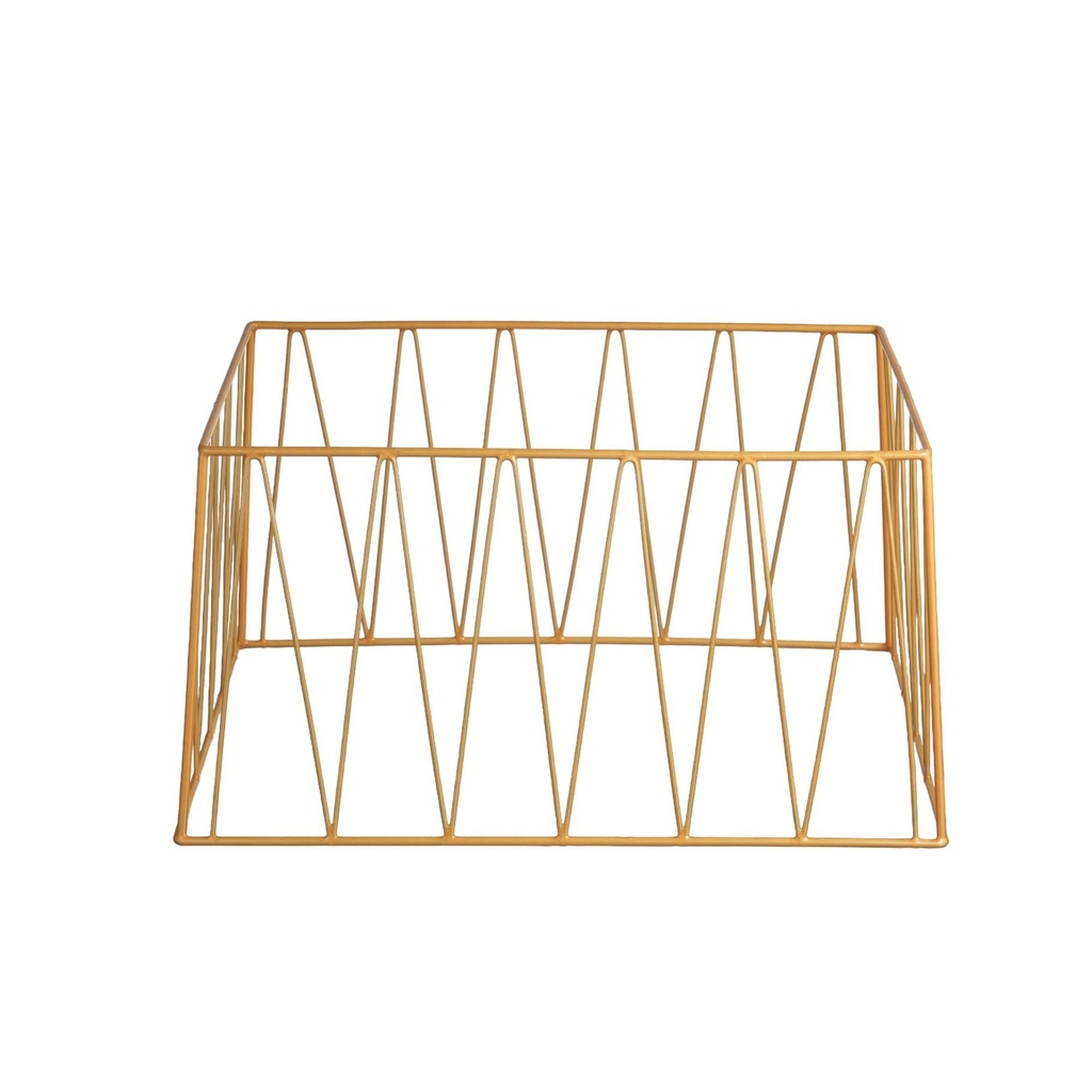 Vague Tall Golden 1/1 GN Rectangular Display Stand Riser 