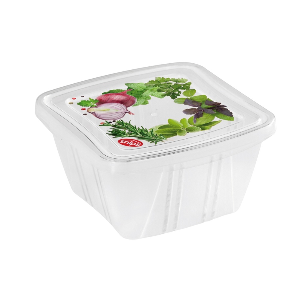 Snips 3 Pieces Fresh Square Container 250 ml Set / 000586