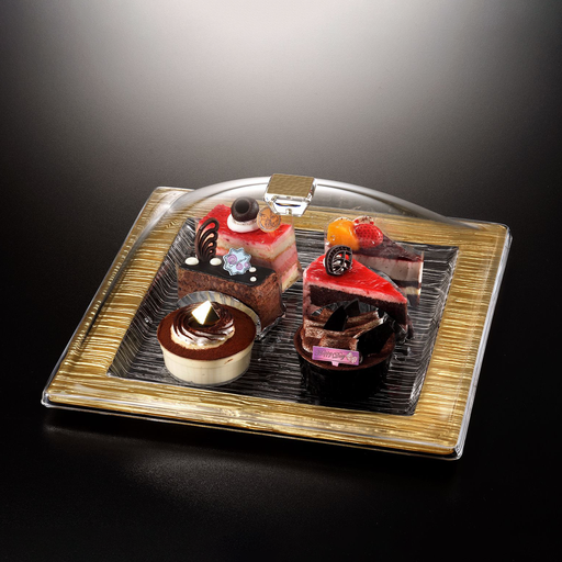 [02-855G] Vague Acrylic Square Serving Set Bark Golden 35 cm