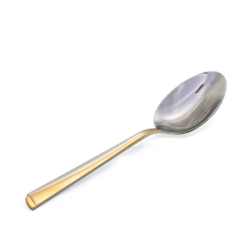 [Y13-826] Vague Stainless Steel Dinner Spoon Golden 6 Pieces