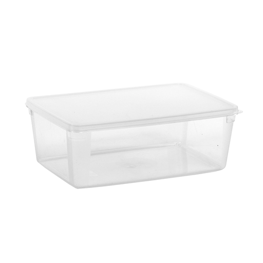 [BFP-118] Vague PP Storage Box 4.5 L 