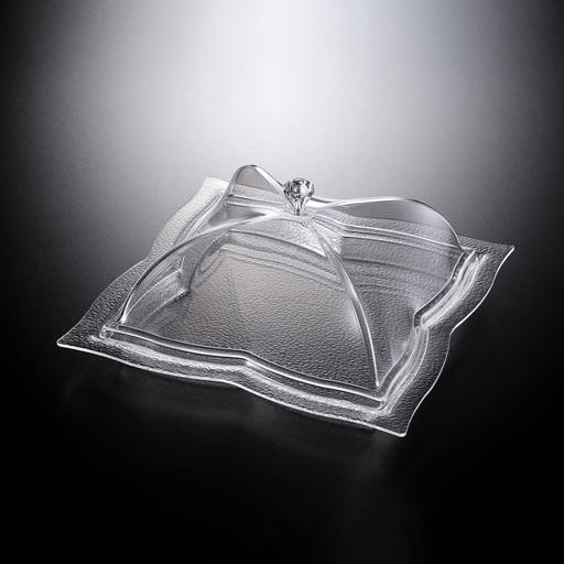 [02-991] Vague Acrylic Square Dessert Serving Set Clear 30 cm